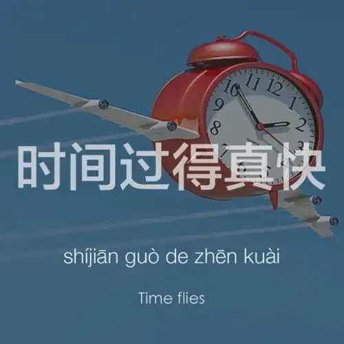 时光飞逝！2024中超半程数据榜：武磊领跑射手榜，海港狂刷积分纪录